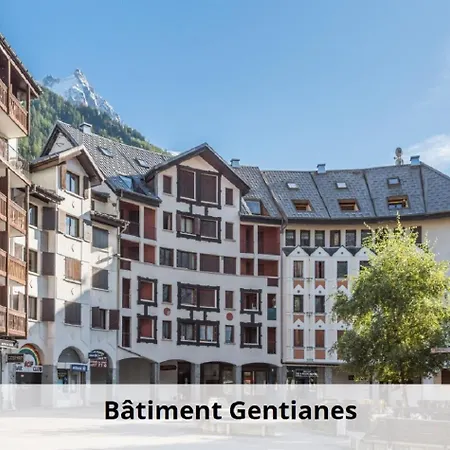 L'aiguille - Maeva - 2 Pieces 5 Personnes Confort Mae-2139 Appartement Chamonix